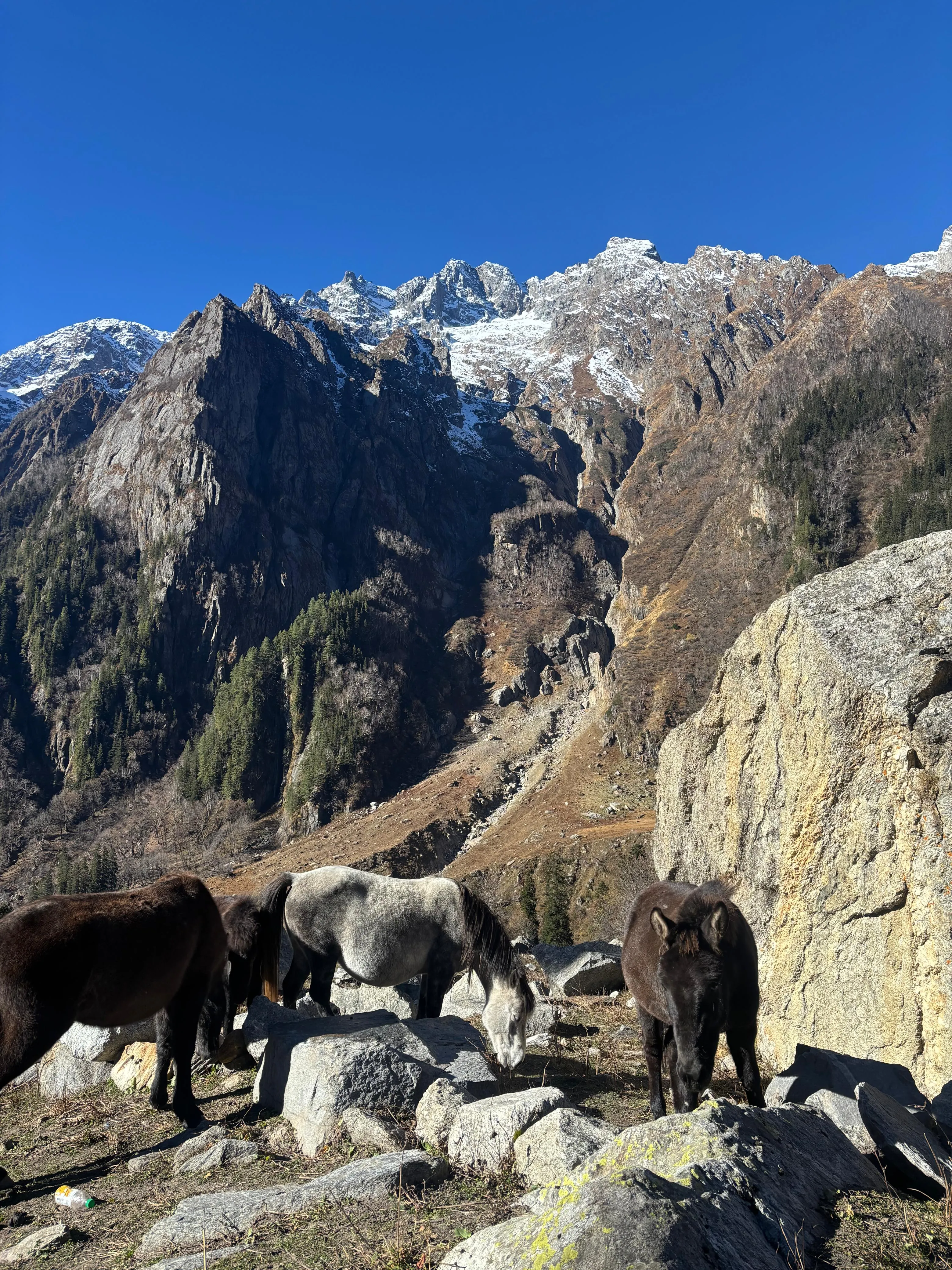 friendship peak trek