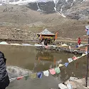 Traveller