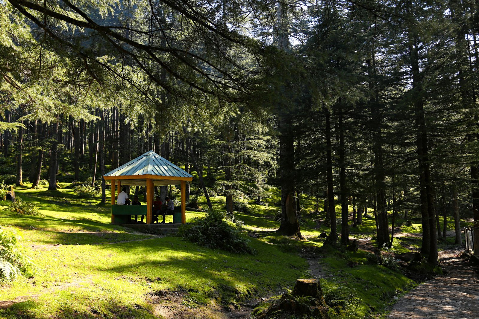Jalori Pass & Jibhi