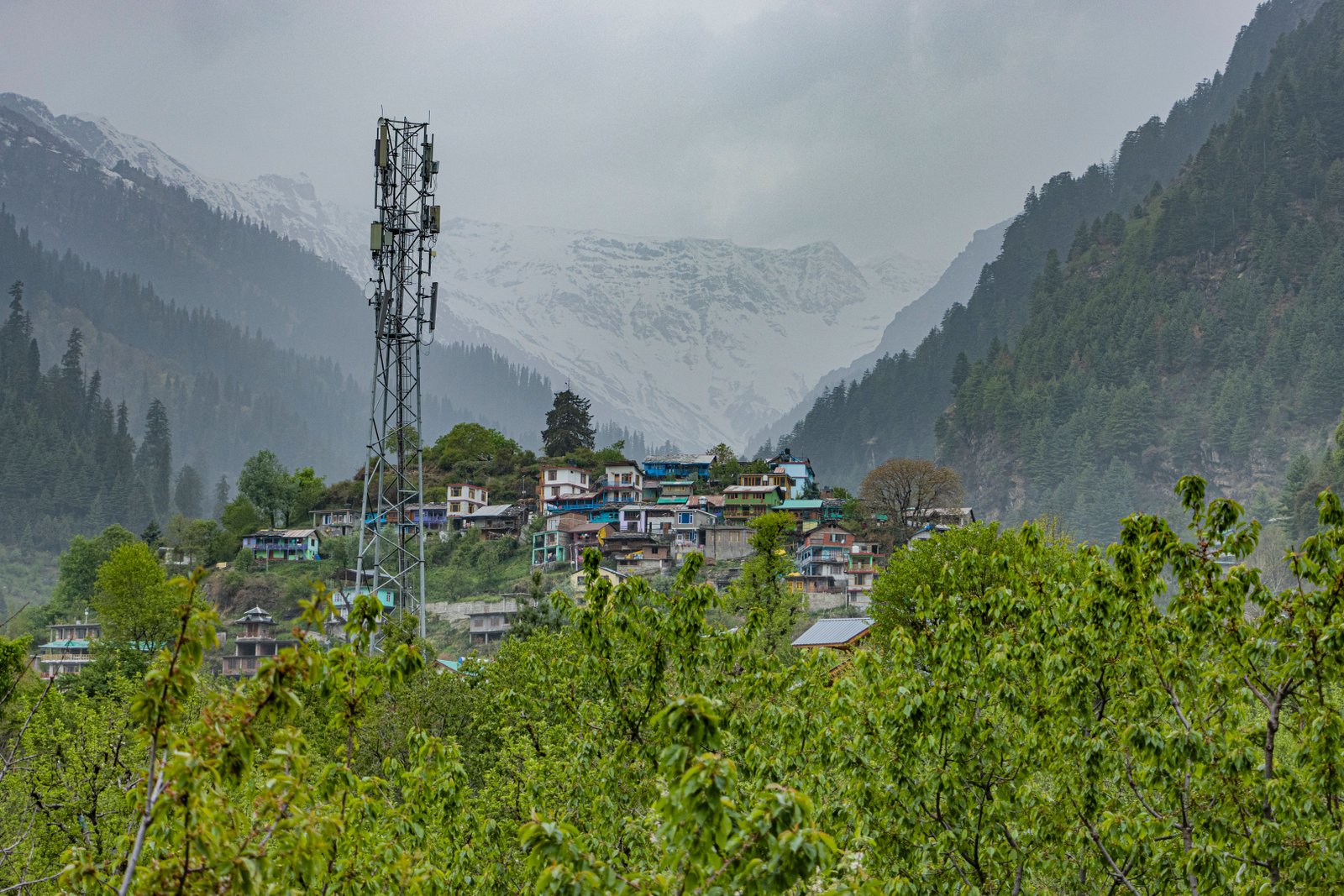 Manali | Solang Valley Trip